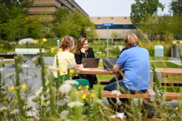 Drie personen overleggen aan een picknicktafel in een groene omgeving
