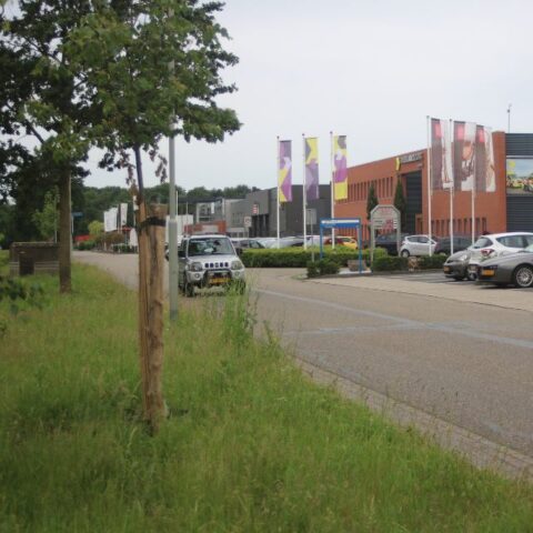Straatbeeld van het bedrijventerrein in Ittervoort, perspectief vanuit de berm