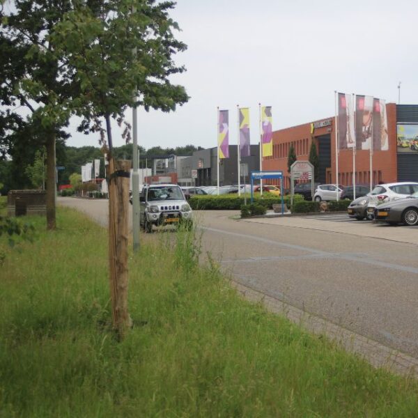 Straatbeeld van het bedrijventerrein in Ittervoort, perspectief vanuit de berm