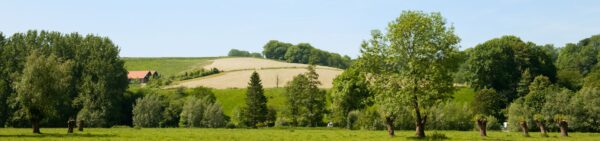 Groen Limburgs Landschap