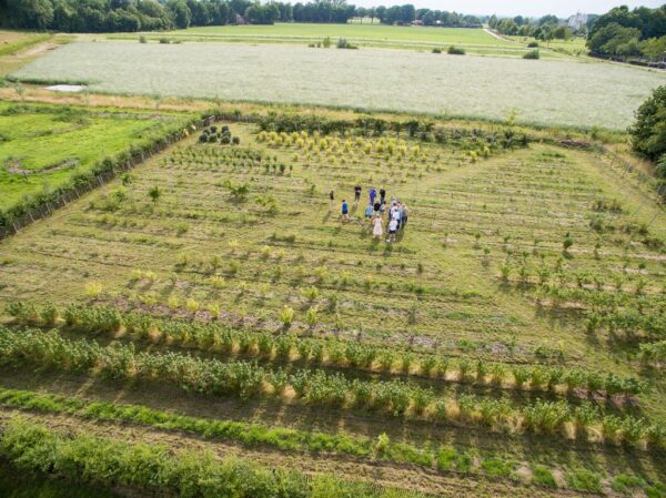 Luchtfoto van een groep personen in het Lenteland.