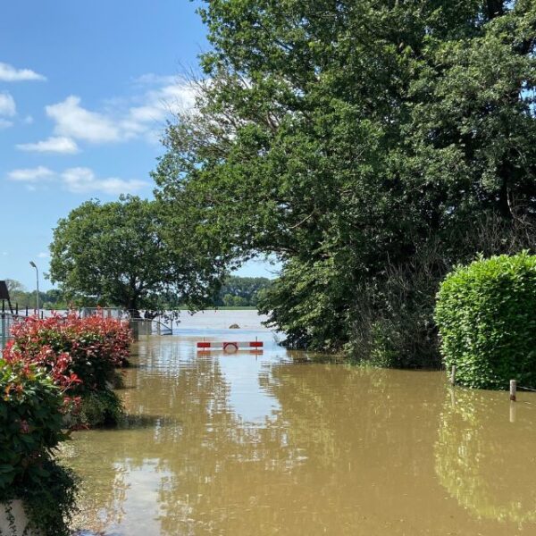 Nauwelijks zichtbare straat door overstroming van de maas. In de verte staat een verboden toegang bord in het water.
