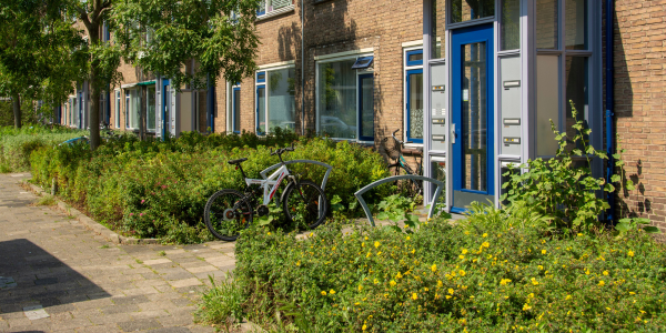 Groene vegetatie voor een appartementencomplex
