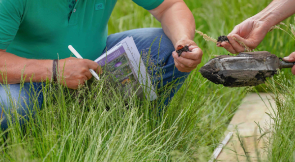 Persoon gehurkt in het gras